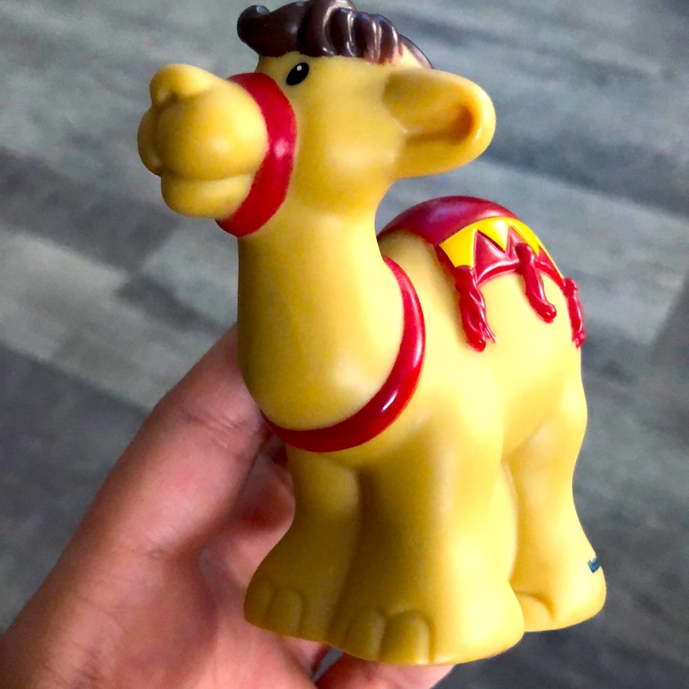 Custom Camel